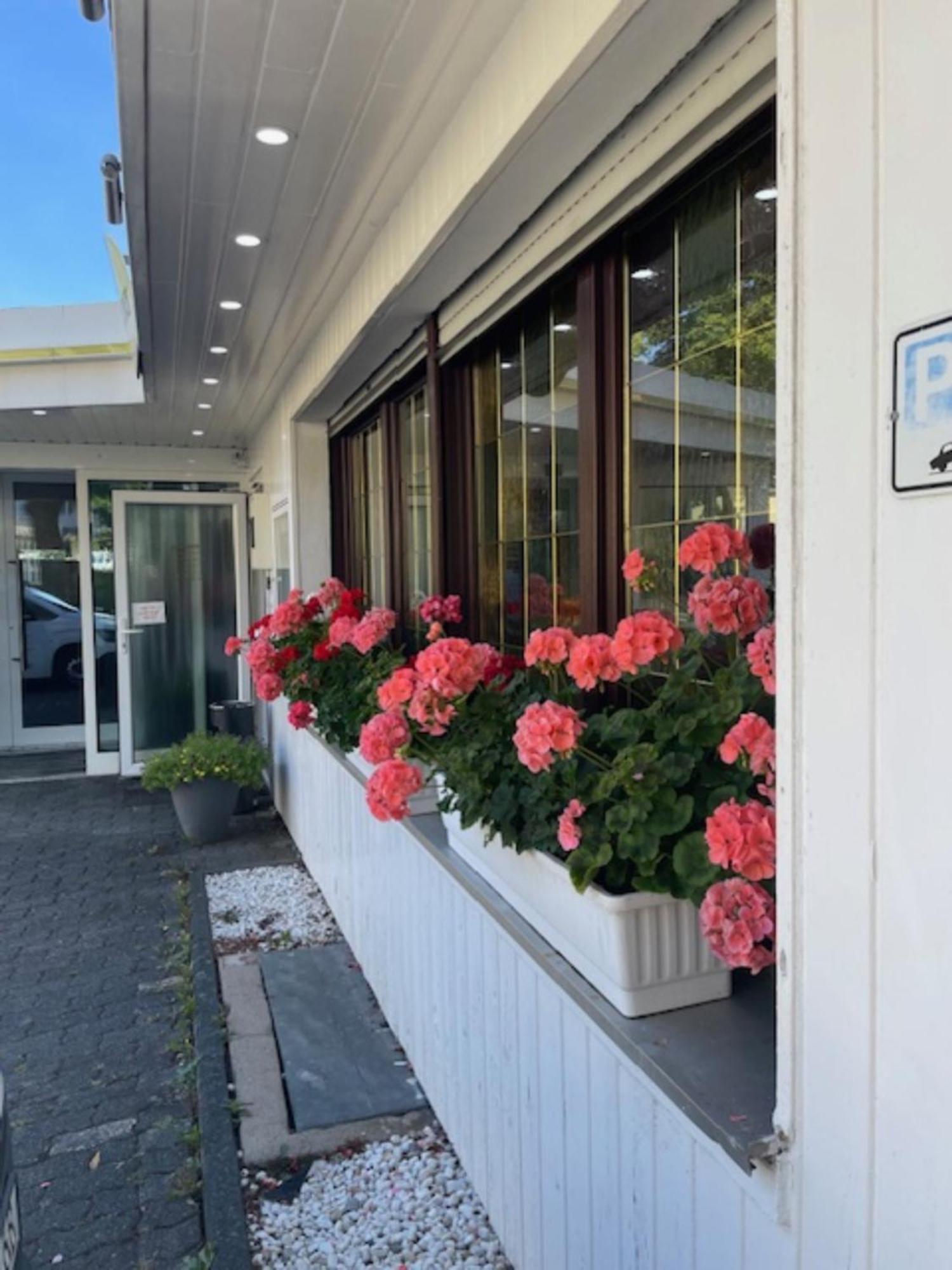Hotel Schaefer Зиген Экстерьер фото